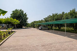 Spacious parking!
